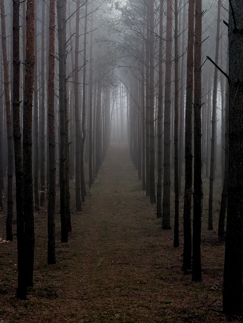 Between the Veils